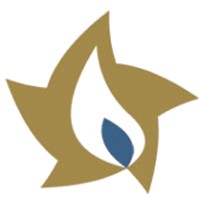 Lone Star Candle Supply Inc logo - Similar company to Dymo Engineering