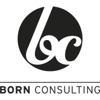 Born Consulting AG logo - Similar company to Berkley Schweiz (A Berkley Company)