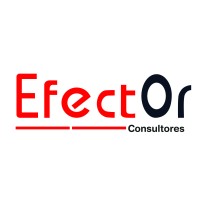 Efector Consultores logo - Similar company to Alteem