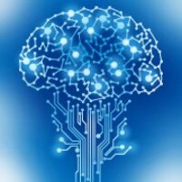 Neuropsychology Clinic | CARE & TREATMENT logo - Similar company to Bind