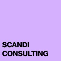 Scandi Consulting logo - Similar company to Vayapay