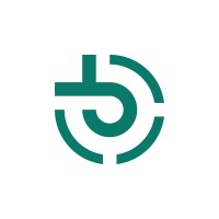 Borderless logo - Similar company to Data Roots It Solutions