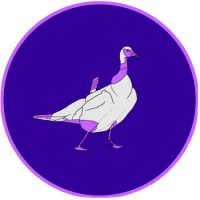 GooseHacks logo - Similar company to Skillswap