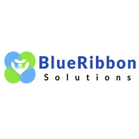 BlueRibbon Solutions