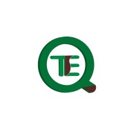 TE Quant (formerly E-Quest Tech) logo - Similar company to Powered By Elevated
