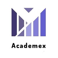 Academex - A Group of Writers and Tutors logo - Similar company to Wise Academex