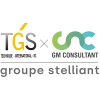 GM Consultant logo - Similar company to Inquest