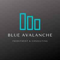 Blue Avalanche Investment & Consulting logo - Similar company to Coplannery