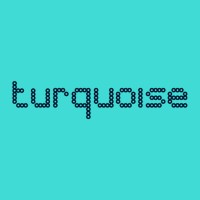 Turquoise Thinking Ltd logo - Similar company to Barnstaple & District Chamber Of Commerce Ltd