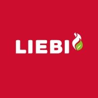 Liebi LNC AG logo - Similar company to Altatec Microtechnologies Ag
