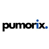 Pumorix logo - Similar company to Techtribe
