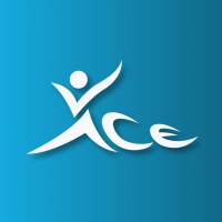 Ace Volleyball Academy logo - Similar company to Thriive Wa (Formerly Edmund Rice Camps For Kids Wa)