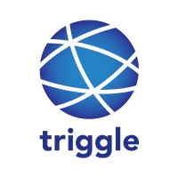 triggle logo - Similar company to Creative Zone - Marketing & Consultoria