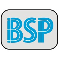 BSP Bracket System Polska Sp. z o.o. logo - Similar company to Bright Minds Centre