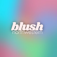 Blush Northwestern logo - Similar company to Riskin Partners Estate Group