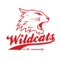 Swindon Wildcats In The Community logo - Similar company to Swindon Chartered Certified Accountants