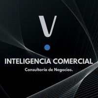BravoAdvance logo - Similar company to Igm Consultoria Csvm