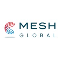 Mesh Global Ltd logo - Similar company to Mesh Global Solution