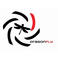 Dragonfly 360 logo - Similar company to Nm Media