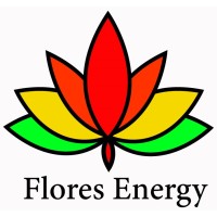 Flores Energy S.A. de C.V. logo - Similar company to Seisnetics