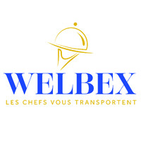 WELBEX logo - Similar company to Pixels