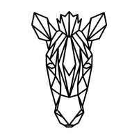 Homes of Africa logo - Similar company to Mb - Bedrijfskundig Marketing Advies