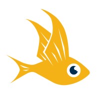 Flying Fish - Digital Analytics logo - Similar company to Mcls