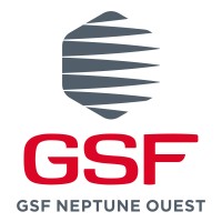 GSF NEPTUNE OUEST logo - Similar company to Stych