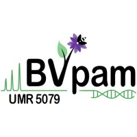 LBVpam - Laboratory of Plant Biotechnologies applied to aromatic and medicinal plants logo - Similar company to Laspi Ujm