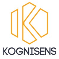 Kognisens Company Limited logo - Similar company to Eucalypt Consulting - People Leadership, Change, It