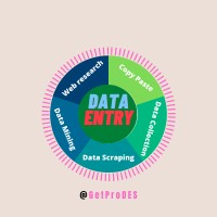 I will do data entry, internet research, and data analysis logo - Similar company to Data Extraction Services