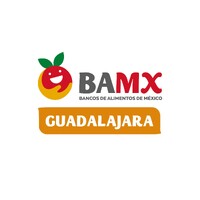 Banco de Alimentos Guadalajara logo - Similar company to Red Bamx