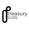 TreasurySuiss (Pty) Limited logo - Similar company to Ndondi Investment (Pty) Ltd