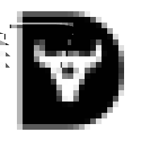 Lone Star Footwear, LLC. logo - Similar company to Slidebrand