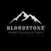 BLOODSTONE Strategic Accounting & Finance logo - Similar company to Fastlap Group
