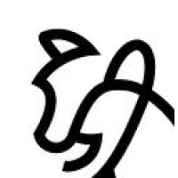 Puma Data Technologies logo - Similar company to Fenestra Yapı
