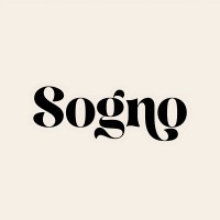SognoBeirut logo - Similar company to Robotx