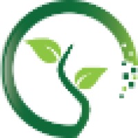 Digiseed logo - Similar company to Black Quadrant Technologies