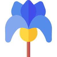 Irys logo - Similar company to Xzom, Inc.