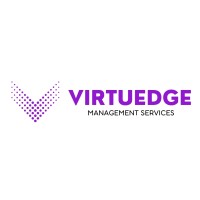 VirtuEdge Management Services Pvt. Ltd logo - Similar company to Ontology Solutions
