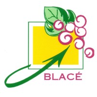 Commune de Blacé logo - Similar company to Talento