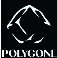 Polygone logo - Similar company to Le Plug