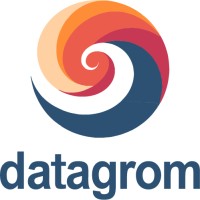 Datagrom logo - Similar company to Qualitrics Pvt Ltd