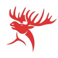 North Strong Wear logo - Similar company to Urban Veins