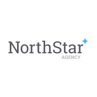 North Star Agency logo - Similar company to Hollander Reps