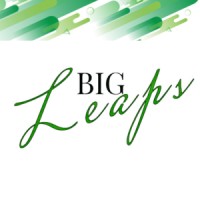 BigLeaps Consulting logo - Similar company to Tripppl