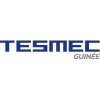 Tesmec Guinée logo - Similar company to Tesmec Australia