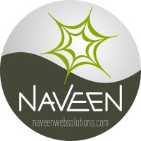 Naveen Web Solutions logo - Similar company to Technoriver