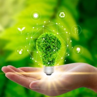 I AM Green Initiative Rwanda logo - Similar company to Coeb Rwanda