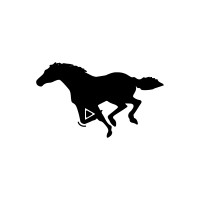 RUNNE STUDIOS logo - Similar company to Suprlance